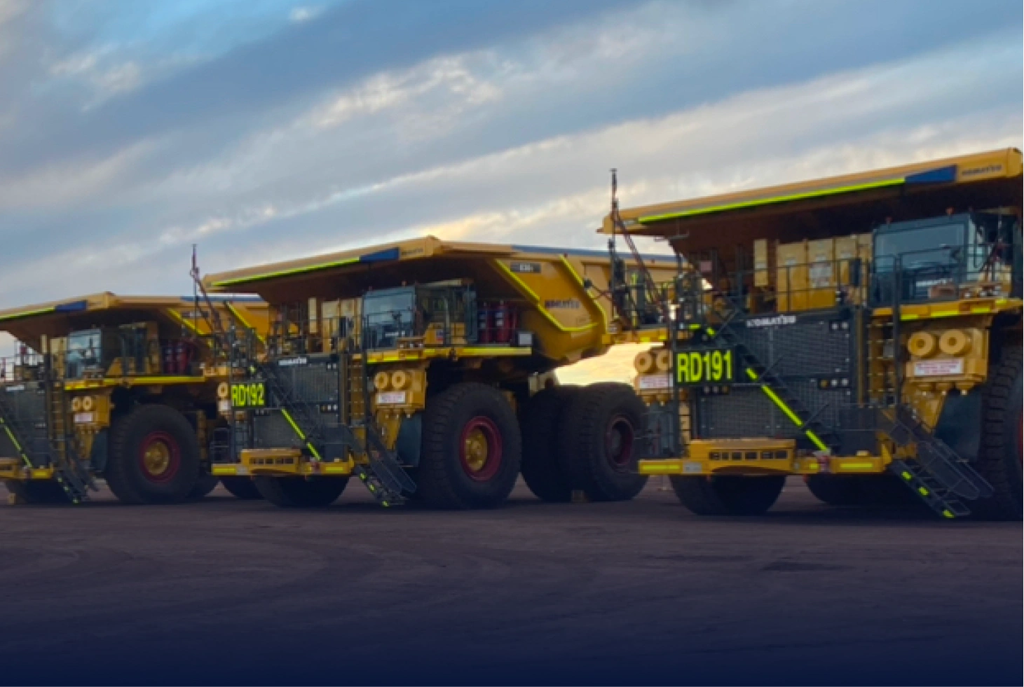 Fleet availability program